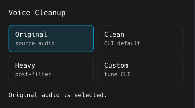Voice cleanup controls