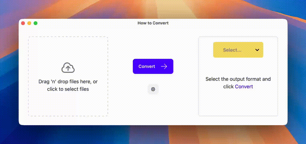 App usage demo